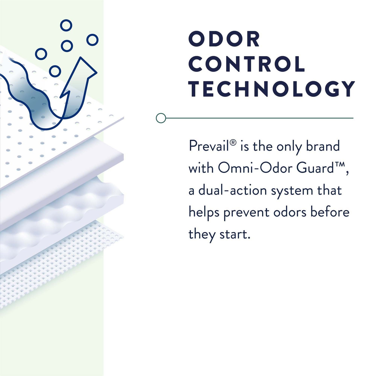 incontinence brief prevail per - image 6